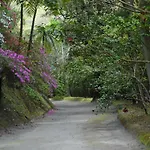 Casa Da Lagoa Furnas (Azores)